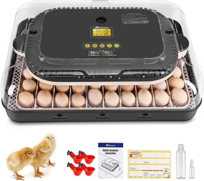 Incubadora de 70 huevos para incubar huevos con giro automático de huevos y control de temperatura🎁 Foto 1 de 4
