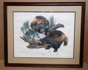 Vintage 1975 Richard Timm Wolverine Brown Bear Nature Print Wood Frame 36"x28" - Picture 1 of 12