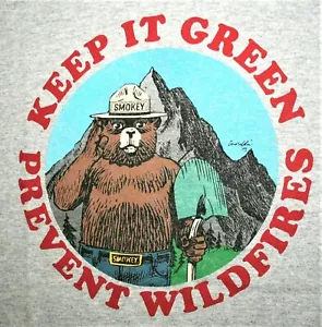 Smokey The Bear Says Keep It Green Gray T-Shirt New NOS Size LG - Bild 1 von 4