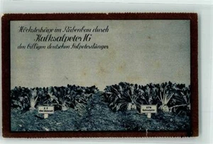 10673527 - Kalksalpeter IG Duengerwerbung - Bild 1 von 2