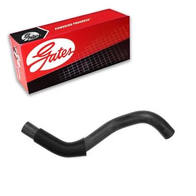 Manguera de refrigerante de radiador Gates superior para Ford Thunderbird 1985-1986 2,3 L L4 GAS Foto 1 de 3