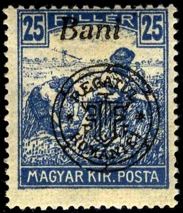 Romania Hungary 1919 ORADEA  Harvester  25 Bani FAT RING SEGMENT BOMBAT error - Picture 1 of 6