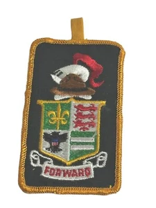 BSA Forward Training All Out for Scouting Crest Aufnäher Vintage Boy Scouts of America - Bild 1 von 9