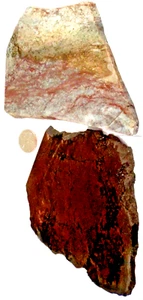 2 Different Jaspers Free Shipping Total 1 Pound 6.5 Ounces 1st Picture Wet #3259 - Picture 1 of 4