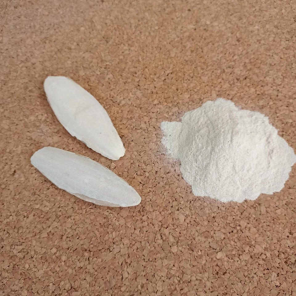 MARKENLOS 40 ml Sepiaschalen gemahlen Sepiapulver Sepia Kalzium