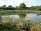 Photo 12X8 New Ponds [1] Compton Bassett There Are Two Recently Created Po C2017