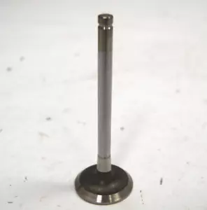 1984-1988 GM Exhaust Valve Astro Safari Fiero New 2.5L 4cyl 10044612 10044421 - Picture 1 of 7