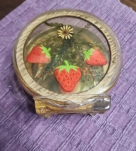 Vintage MCM Erdbeere gepresst Blume Lucite Acryl Serviettenhalter  - Bild 1 von 3
