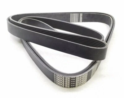 1190K8 BZ 蛇形皮带 8PK3025 适合福特 F-250 & F-350 1996 1997 — 第 1/3 张图片