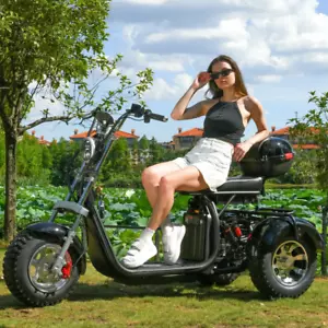 Black 18" Adult Electric Tricycle 3 Wheel Bike Cruiser Electric scooter Fat Tyre - Picture 1 of 25