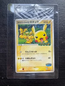 Pikachu 043/PCG-P Poke Park's Promo Sealed Pokemon Card Japanese - Picture 1 of 2
