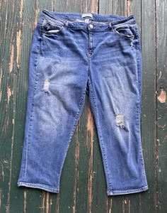 Ashley Stewart Distressed Capri Jeans Women's 22 Blue Medium Wash Denim Mid-Rise - Picture 1 of 6