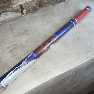 VTG New Old Stock 1998 Olympics USA Basketball Dream Team Poster Michael Jordan - Picture 1 of 3