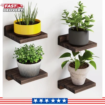 4 Pack Small Floating Shelves Wood Wall Shelf 5 Inch Display Ledges Room Decor - Image 1 of 4