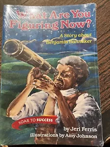 What Are You Figuring Now?A Story Of Benjamin Banneker Soar to Success Level8/12 - Picture 1 of 2