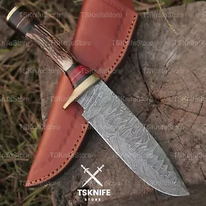 Custom Handmade Damascus Steel Bowie Hunting Knife Stag Horn Handle Knife D-16 - Picture 1 of 4