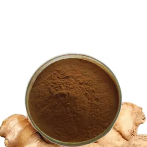 Estratto di Zenzero Nero Puro 20:1 in Polvere 100g~500g - Foto 1 di 1