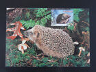 carte maximum card France 2001 faune animal hérisson hedgehog