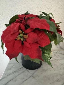 künstlicher Weihnachts-/Christstern 🌺 - Bild 1 von 12