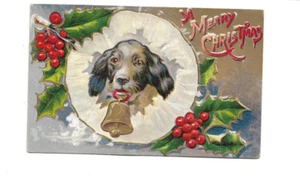 Antique Christmas Postcard Dog in Holly Scene - Picture 1 of 2