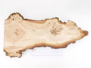 Waney Kante Englisch Burr Eiche Holz Brett. Harz Füllung Tisch 365 x 695 x 44mm - Bild 1 von 7