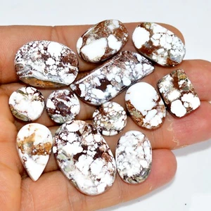 12Pcs 147Ct Natural Wild Horse Jasper Cabochon Gemstone Lot 26x17 10x10mm #15439 - Picture 1 of 6