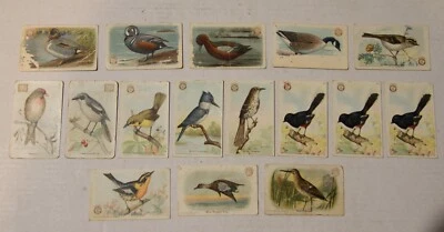 Lote de 16 cartões pequenos vintage Arm & Hammer - 4ª série, pássaros úteis e novo ser - Imagem 1 de 4