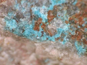 AJOITE dall'Arizona, USA * TIPO ESEMPLARE DI LOCALITÀ * 1,5 cm - Foto 1 di 2