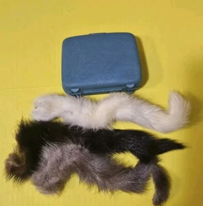 Lot of 3 Real Tanned Super Premium Skunk Tail with Suitcase - Picture 1 of 4