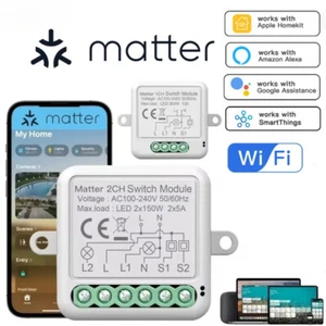 WiFi Matter Smart Switch Relay Circuit Breaker Home Automation for Homekit Alexa - Picture 1 of 20
