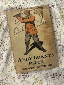 Vintage Andy Grant’s Pluck 1913 The New York Book Company Horatio Alger Jr - Picture 1 of 11