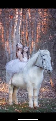 Vestido tutú Dollcake talla 6 rubor Foto 1 de 4