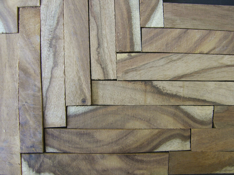 Pluma de palo de rosa indio en blanco Foto 1 de 1