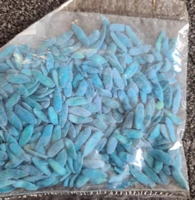  Iranian Organic Cucumber seeds .30se   Persian short mini variety  London Grown - Image 1 of 4