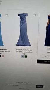 formal gown, mother of bride or groom - Picture 1 of 5