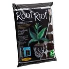 Root Riot Starter Cubes Propagation 24 Tray - Cuttings And Seedlings