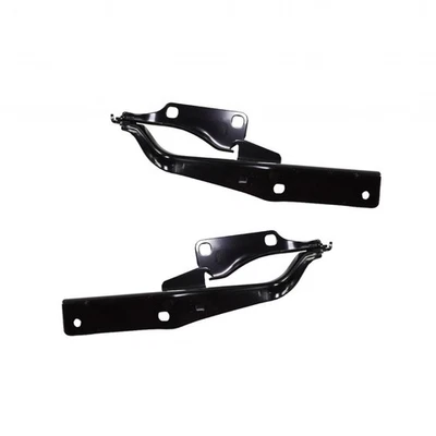 For Nissan Altima 2002 03 04 05 2006 Hood Hinge Driver and Passenger Side | Pair - Image 1 of 4