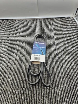 Dayco 5070874 Serpentine Poly V-Belt para Nissan NV1500 2019-2021 Foto 1 de 4