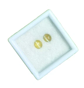 Natural Chrysoberyl Cat's Eye Pair Ceylon golden yellow Gem for Jewelry 0.7crt - Picture 1 of 8