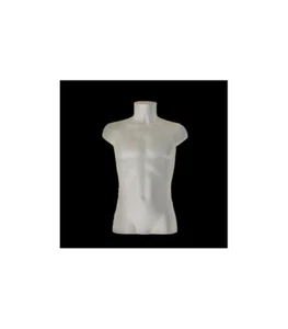 TORSO UOMO PLASTICA. MANICHINO NEGOZIO ABBIGLIAMENTO - Foto 1 di 4
