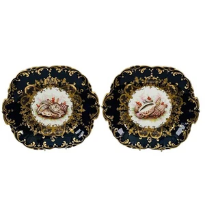 Rare Coalport Seashells Plates Hand Painted John Barker Circa 1830 - Bild 1 von 19