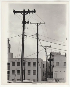 Orig. Vintage 1964 Strommasten in Miami, Pressefoto - Bild 1 von 2