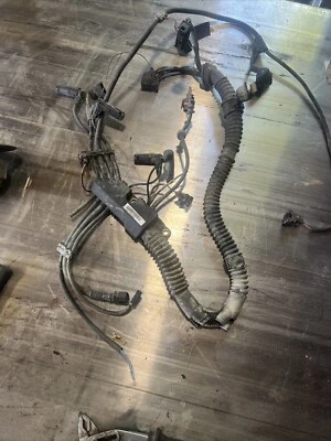 779310001 Cableado Motor LAND ROVER Freelander (2006) 2.0 Diesel 80KW 5P h1 Foto 1 de 4