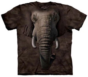 The Mountain T-Shirt Climbing Chamelion Youth Youth Tee (M) - Picture 1 of 2