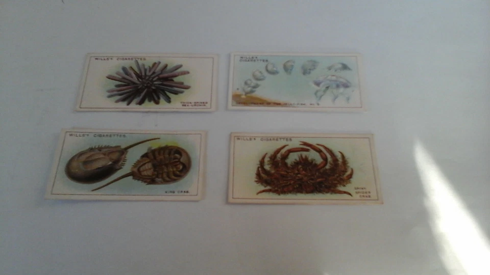 Wills.  WONDERS OF THE SEA . (4 cards # 19, 21,23&32) - Image 1 of 2