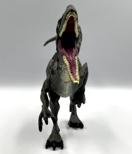 Dinosauro Jurassic World Velociraptor Hasbro 2015 braccia e gambe mobili H7" W2" L10 - Foto 1 di 14
