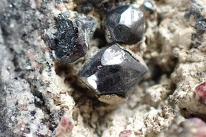 BRAUNITE * CRISTALLI METALLIZZATI-NERI CON PIEMONTITE ROSSA * RARO! Ultevis, SVEZIA - Foto 1 di 24