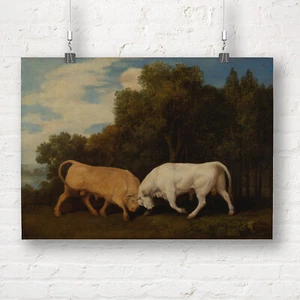 George Stubbs: Bulls Fighting. Impresión/póster de bellas artes - Imagen 1 de 1
