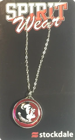 New Florida State Seminoles Silver Logo Charm Necklace, Gift for Her Mom Cover
