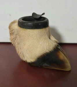 Vintage Deer Hoof Ashtray Taxidermy Antique Hunting Cabin Mancave - Picture 1 of 7